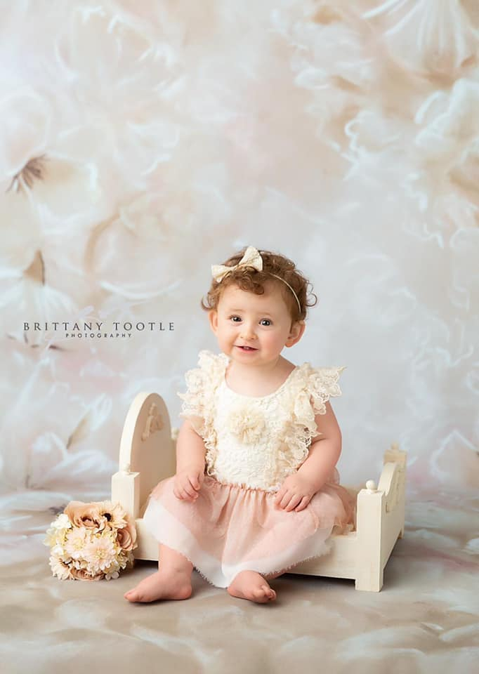 Pano de fundo floral claro par - Photography Lighting For Portraits avaliação e preço